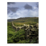 A Stone Fence Through Fields Post Card