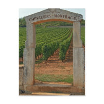 A stone portico to the vineyard