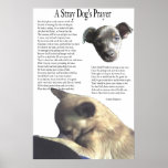 A Stray Dog's Prayer (alternate background color) Poster