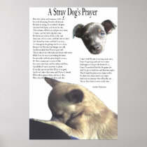 A Stray Dog's Prayer (alternate background color) Poster