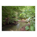 A stream runs through posters