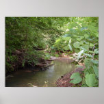 A stream runs through posters