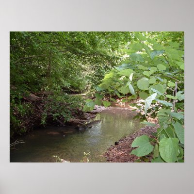 A stream runs through print by rickinstlmo