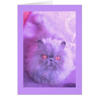A Study In Lilac Persian Cat card