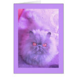 A Study In Lilac Persian Cat Card