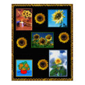A Study in Sunflowers posters by Maureen_Oliver A Study in Sunflowers posters
