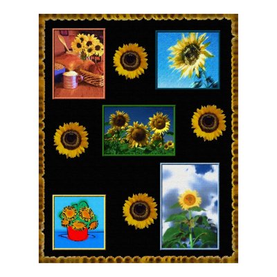 A Study in Sunflowers Poster by Maureen_Oliver