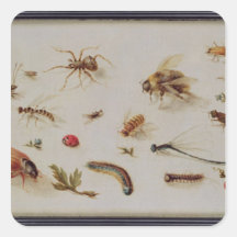 A Study of Insects Sticker