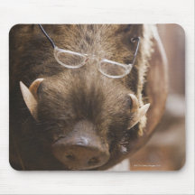 a stuffed wild boar wearing glasses outside a mouse pad