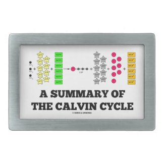 A Summary Of The Calvin Cycle (Photosynthesis) Belt Buckles
