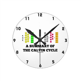 A Summary Of The Calvin Cycle (Photosynthesis) Clocks