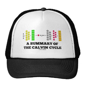 A Summary Of The Calvin Cycle (Photosynthesis) Hats