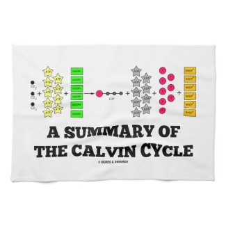 A Summary Of The Calvin Cycle (Photosynthesis) Kitchen Towels