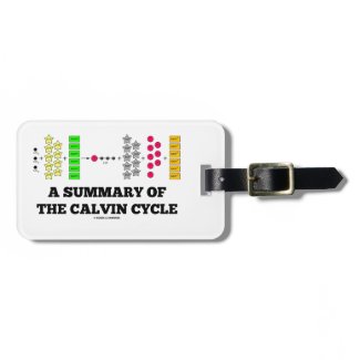 A Summary Of The Calvin Cycle (Photosynthesis) Bag Tags