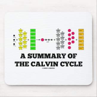 A Summary Of The Calvin Cycle (Photosynthesis) Mouse Pads