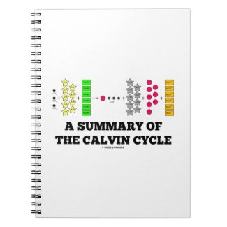 A Summary Of The Calvin Cycle (Photosynthesis) Notebooks