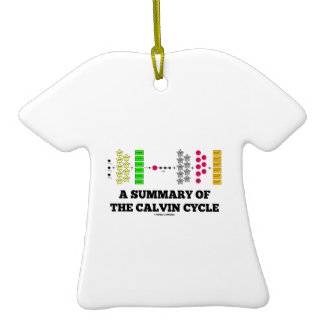 A Summary Of The Calvin Cycle (Photosynthesis) Ornament