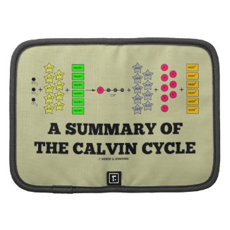 A Summary Of The Calvin Cycle (Photosynthesis) Planners