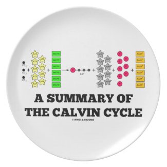 A Summary Of The Calvin Cycle (Photosynthesis) Party Plate