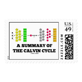 A Summary Of The Calvin Cycle (Photosynthesis) Stamps