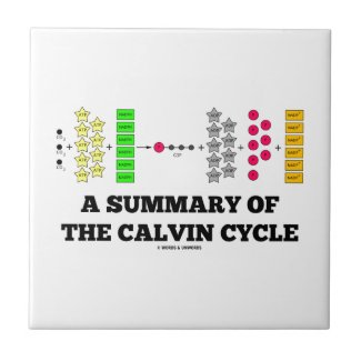 A Summary Of The Calvin Cycle (Photosynthesis) Tiles