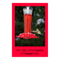 A Summer Friend posters