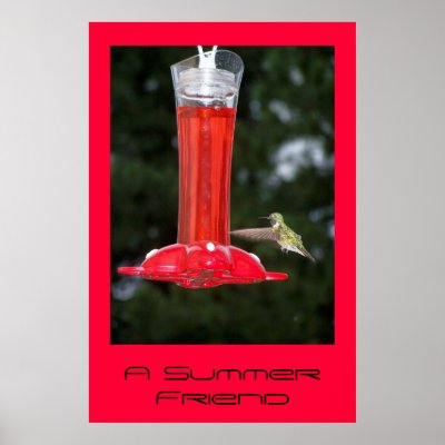 A Summer Friend Posters by elizadeb