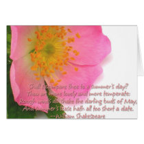 A Summer's Day cards by moonsong131 A Summer's Day cards
