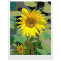 A sunflower flyers