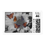A Sunflower with Several Butterflies Postage Stamps