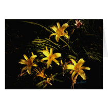 A Sunlit Patch cards by bhbphotos A Sunlit Patch cards