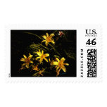 nature, sunlit, yellow, lilies