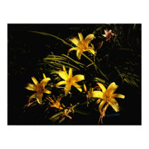 A Sunlit Patch posters by bhbphotos A Sunlit Patch posters