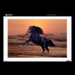 A sunset ocean horse skins