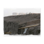 A surfboard sits on the beach in Florida on cliff Postcard