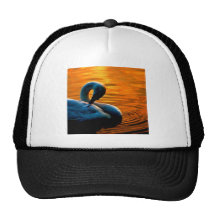 A Swan Taking a Last Minute Swim at Sunset Trucker Hat