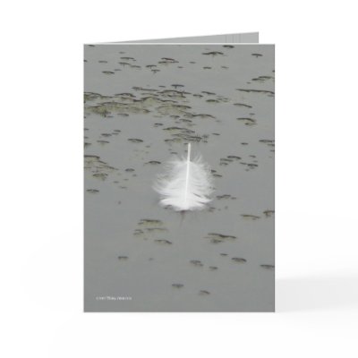 A Swan's Gift Greeting Cards by MoiraAshleigh