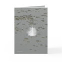 A Swan's Gift cards
