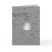 A Swan's Gift cards