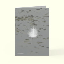A Swan's Gift cards by MoiraAshleigh A Swan's Gift cards