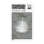 A Swan's Gift postage