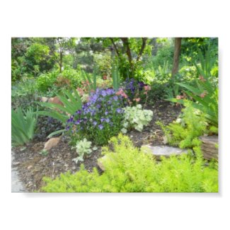 A Sweet Garden Full of Color Print print