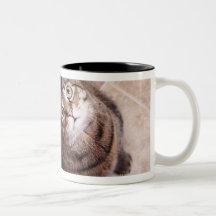 A tabby cat looking up coffee mug