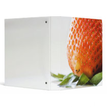 A Taste of summer binder