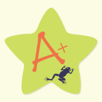 A+ Teacher Stickers stickers