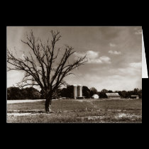 A Tennessee Farm cards