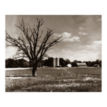 A Tennessee Farm posters