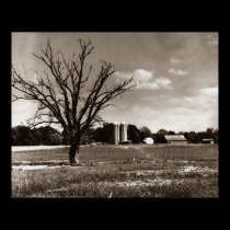 A Tennessee Farm posters