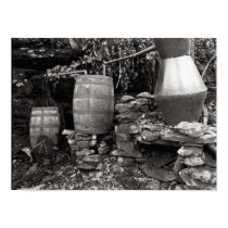 A Tennessee Still posters