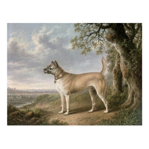 A Terrier on a path in a wooded landscape Post Card